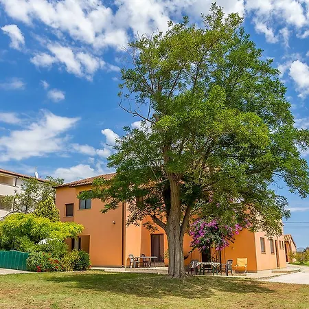 Vlasta Apartment